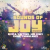 Sounds of Joy Riddim - EP