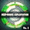 Deep-House Exploitation, Vol. 2 (A Journey Into Deephouse Sound)