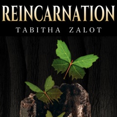 Reincarnation: Afterlife: What Happens When You Die? Rebirth or Game Over? (Unabridged)