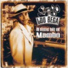 A Little Bit of Mambo