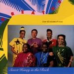 Sweet Honey In the Rock - On Children