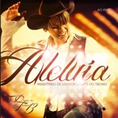 Aleluia - Diante do Trono 13 (Live) artwork