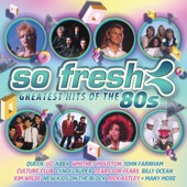 So Fresh: Greatest Hits of the 80s artwork