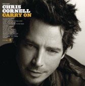 Chris Cornell - Arms Around Your Love