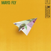 Fly artwork