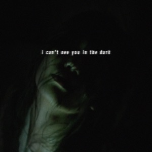 I Can't See You in the Dark - Single
