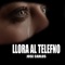 Llora el Teléfono artwork