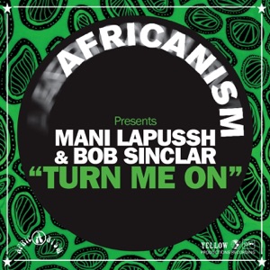 Turn Me On (Africanism Presents) - Single
