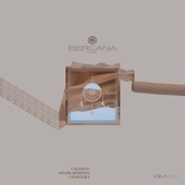 Zucca (Vruno Remix) artwork