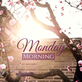 Monday Morning - Morning Meditation