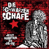 Jetzt kommen die Jahre artwork