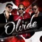 Te Olvidé (feat. Manuel2Santos) - Lester & Robe lyrics