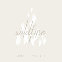 John Finch - Wildfire artwork