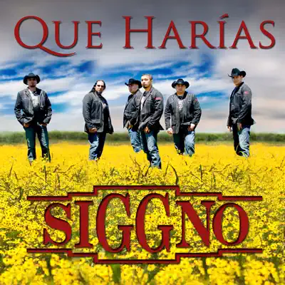 Que Harias - Single - Siggno