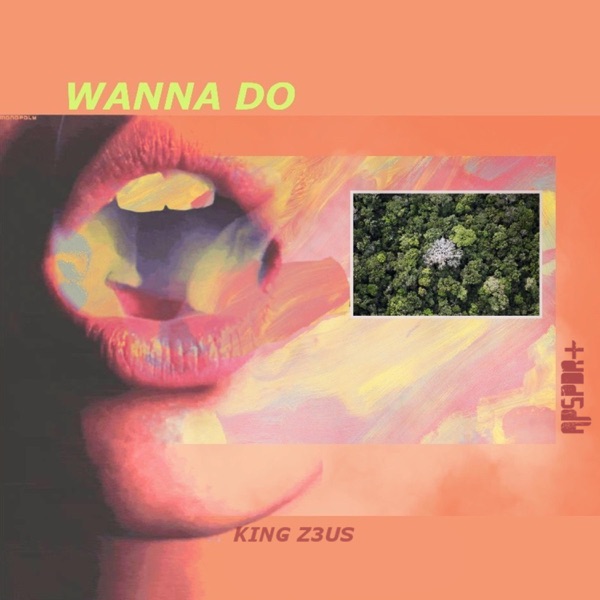 Wanna Do (feat. King Z3us) - Single - APSPDR+