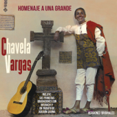Homenaje a una Grande - Chavela Vargas