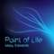 Point of Life artwork