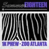 Stream & download Zoo Atlanta - Single