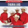 Mi Colección: Los Tigrillos album lyrics, reviews, download