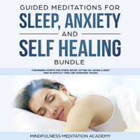 Mindfulness Meditation Academy - Guided Meditations for Sleep, Anxiety and Self Healing Bundle: 3 Beginners Scripts for Stress Relief, Letting Go, Having a Quiet Mind in Difficult Times and Overcome Trauma (Original Recording) artwork