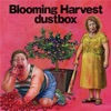 dustbox
