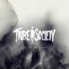 Tribe society - Kings