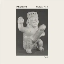 Les Vas a Pagar (Sunat) - Single - Chabelos Les Vas a Pagar (Sunat) - Single - Chabelos