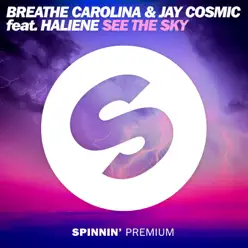 See the Sky (feat. HALIENE) - Single - Breathe Carolina
