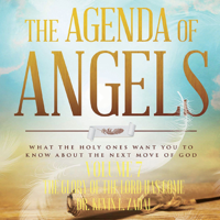 Dr. Kevin L. Zadai - The Agenda of Angels, Volume 7: The Glory of the Lord Has Come artwork