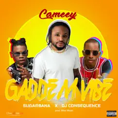 Gaddem Vibe (feat. Dj Consequence & Sugarbana) - Single by Cameey album reviews, ratings, credits