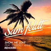 Show Me Love (feat. Kimberly Anne) [The Rooftop Boys Remix] artwork