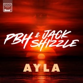 Ayla artwork