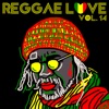 Reggae Love Vol, 14