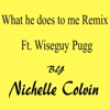 What He Does to Me (Remix) [feat. Wiseguy Pugg] - Single