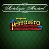 Conjunto Primavera - Quiero Estar Loco