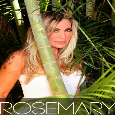 Bons Amigos - Single - Rosemary