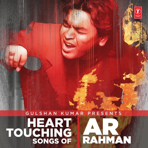 Cover artwork for Safarnama (from "Tamasha")