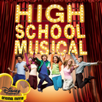 The Cast of High School Musical - We're All In This Together artwork