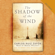 Carlos Ruiz Zafón - The Shadow of the Wind (Abridged)