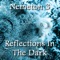 Reflections in the Dark artwork