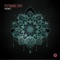 Ravers Army - Vini Vici lyrics