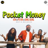 Pocket Money artwork