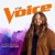 Chris Kroeze - Can’t You See (The Voice Performance)