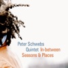 In-Between Seasons & Places (feat. Ben Kraef, Douglas Bradford, Julian Pollak & Nick Anderson)