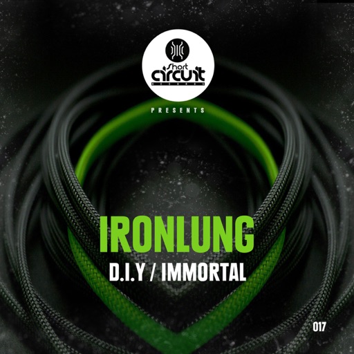 D.I.Y & Immortal - Single by Ironlung