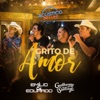 Grito de Amor (Acústico) [feat. Guilherme e Santiago] - Single