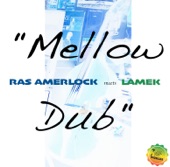 Mellow Dub (feat. Lamek) artwork