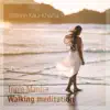 Triple Mantra: Walking Meditation album lyrics, reviews, download