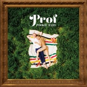 Andre the Giant - Prof