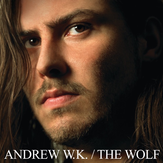 Cover artwork for Never Let Down